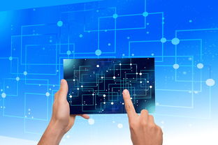 米兰全站APP下载-中国篮球青训体系教练员能力评估与发展规划，篮球教练员素养